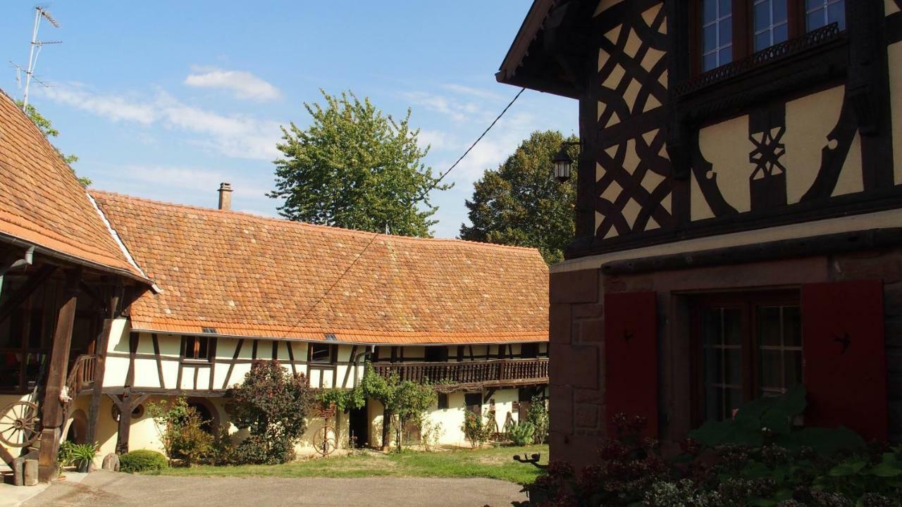Le Gite Des Ecureuils Schalkendorf Zewnętrze zdjęcie