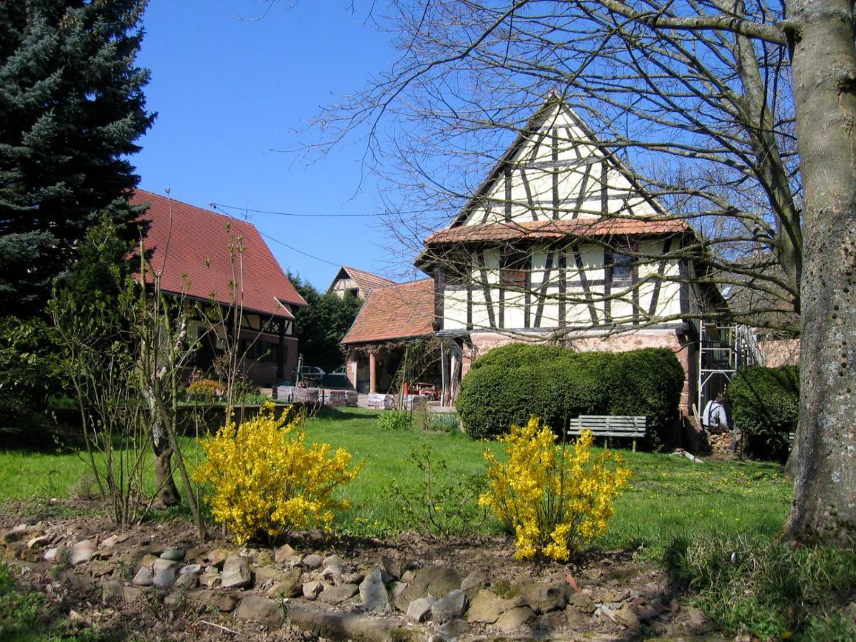 Le Gite Des Ecureuils Schalkendorf Zewnętrze zdjęcie